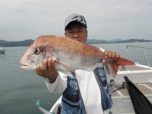 真鯛-広島遊漁船海斗