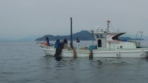 ちりめんじゃこ漁-広島遊漁船海斗