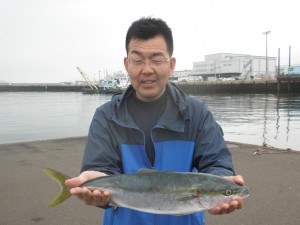 ヤズ-広島遊漁船海斗