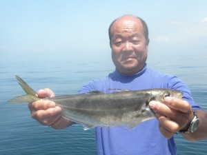 大アジ-広島遊漁船海斗