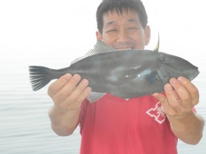 ハゲ-広島遊漁船海斗