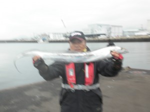 タチウオ-広島遊漁船海斗