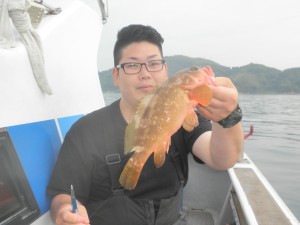 アコウ-広島遊漁船海斗