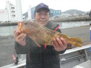 アコウ-広島遊漁船海斗