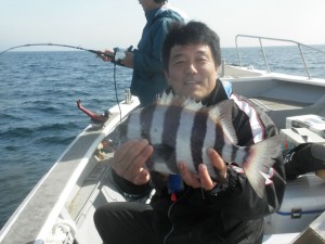 イシダイ-広島遊漁船海斗
