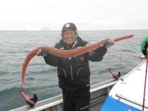 アカヤガラ-広島遊漁船海斗