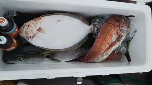 ハマチ・タイ・大口-広島遊漁船海斗