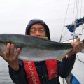 ブリ-広島遊漁船海斗