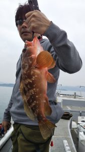 アコウ―広島遊漁船海斗