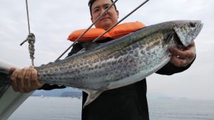 ライトジギング・落とし込み―広島遊漁船海斗