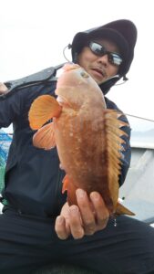 アコラバ―広島遊漁船海斗