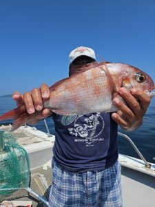 イサキ―広島遊漁船海斗