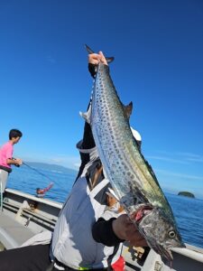 ライトジギング-広島遊漁船海斗