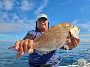 ライトジギング-広島遊漁船海斗