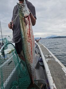 ライトジギング-広島遊漁船海斗