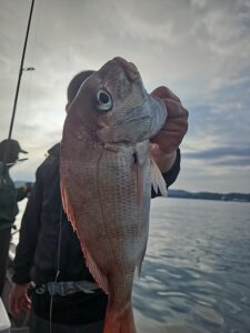 ライトジギング-広島遊漁船海斗