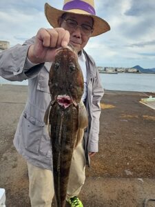 ライトジギング-広島遊漁船海斗