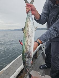 ライトジギング-広島遊漁船海斗