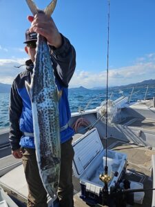 ライトジギング-広島遊漁船海斗