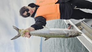 ライトジギング-広島遊漁船海斗