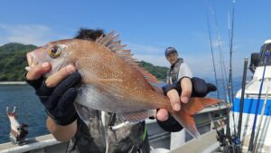 五目釣り―広島遊漁船海斗