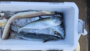 ライトジギング-広島遊漁船海斗