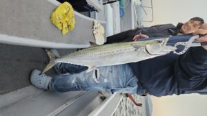 ライトジギング-広島遊漁船海斗