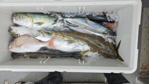 ライトジギング-広島遊漁船海斗