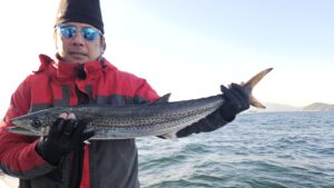 ライトジギング-広島遊漁船海斗