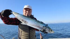 ライトジギング-広島遊漁船海斗