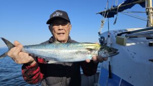 ライトジギング-広島遊漁船海斗