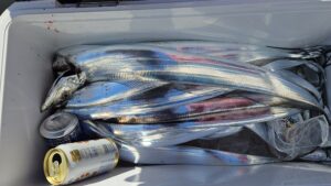 タチウオ―広島遊漁船海斗
