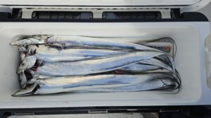 タチウオ―広島遊漁船海斗