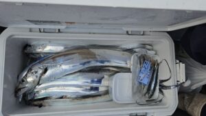 タチウオ―広島遊漁船海斗