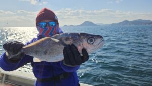 タチウオ―広島遊漁船海斗