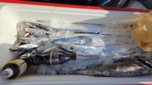 タチウオ―広島遊漁船海斗