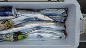 タチウオ―広島遊漁船海斗