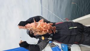 クログチ―広島遊漁船海斗